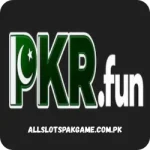 PKR FUN Game
