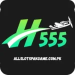 H555 Game