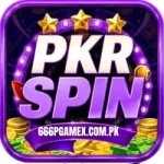 Pkr Spin Game